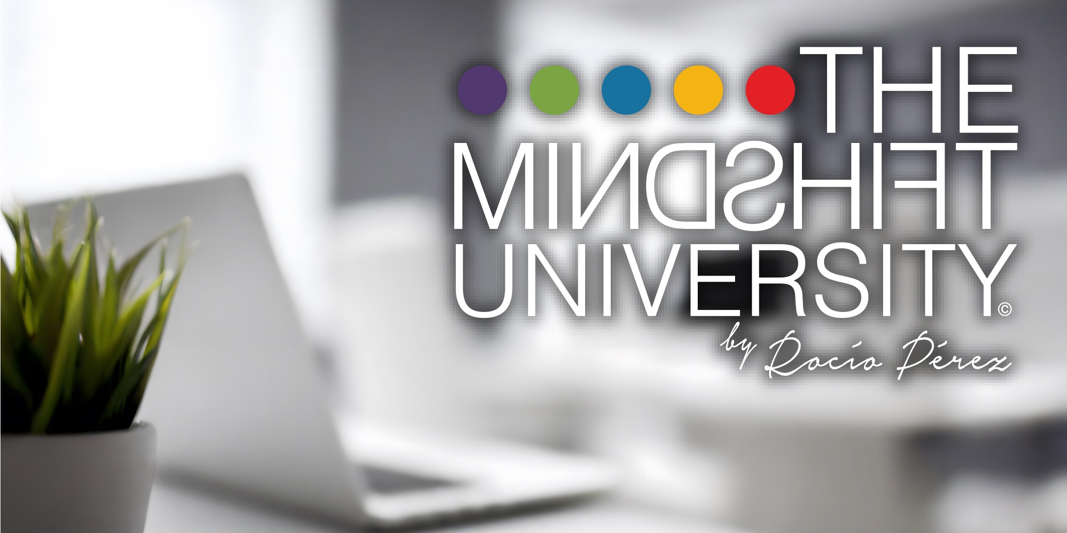 The MindShift University